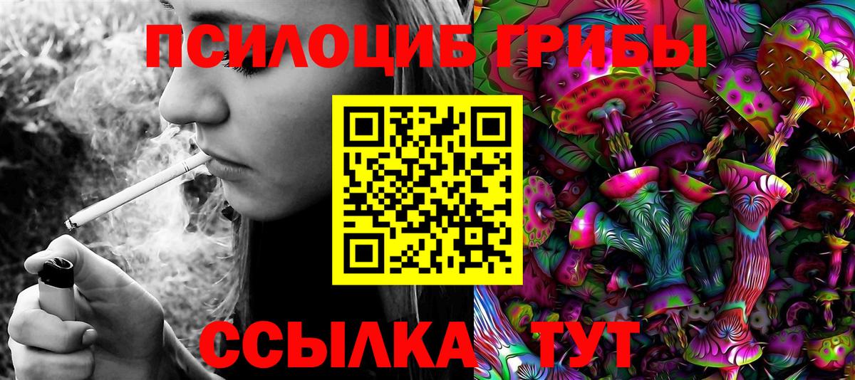 Дмитров  Псилоцибиновые грибы ЛСД  Вход с VPN 